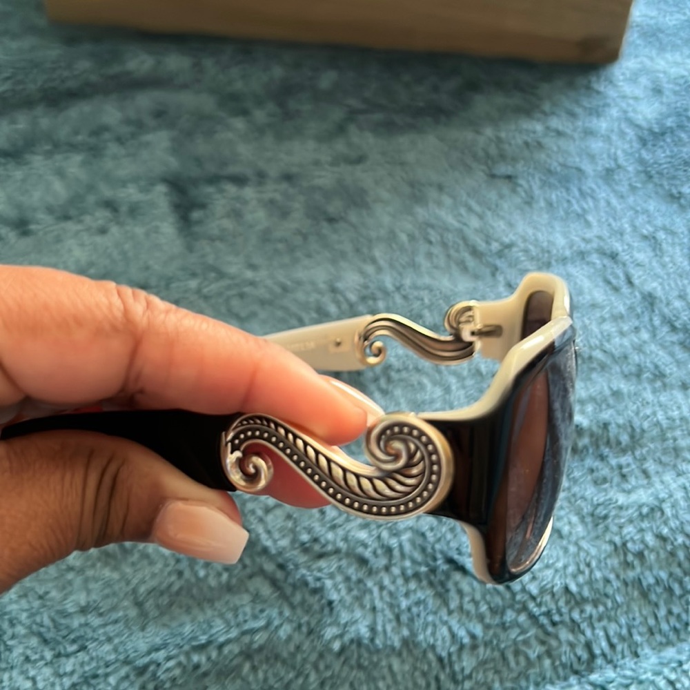 New, Brighton Sunglasses